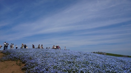 20150430 08245602.JPG