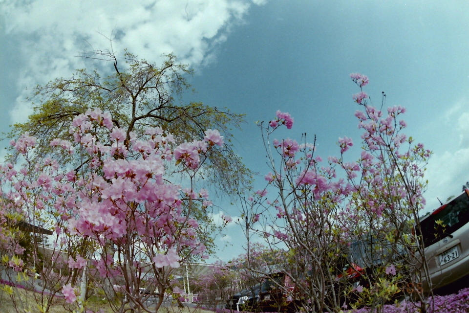PICT0020 s.JPG