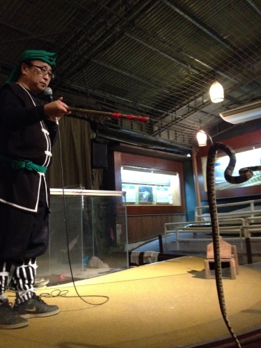 201201312059_1001_iphone.jpg
