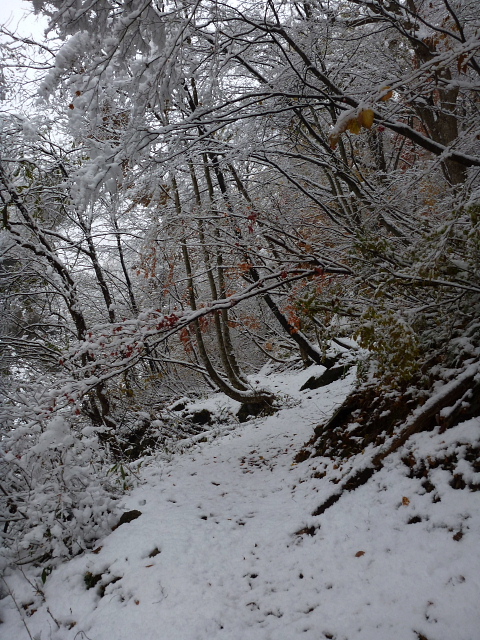 雪の渓201311141.jpg