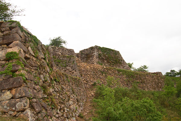takeda5.jpg