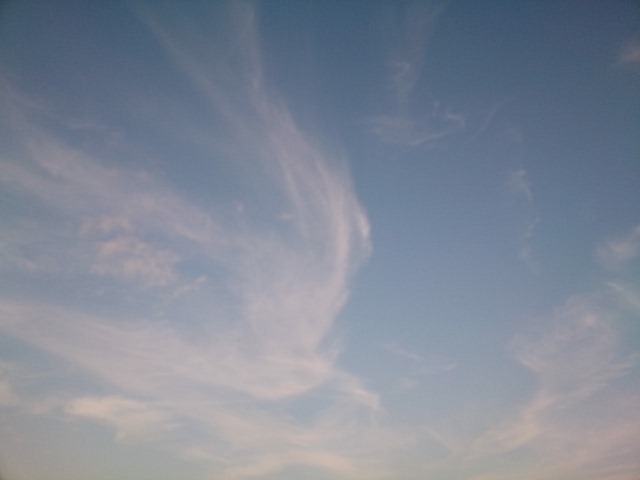 20161002  DSC_0003.jpg