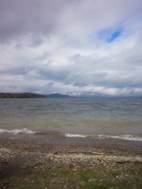 NCM_1825 (480x640).jpg