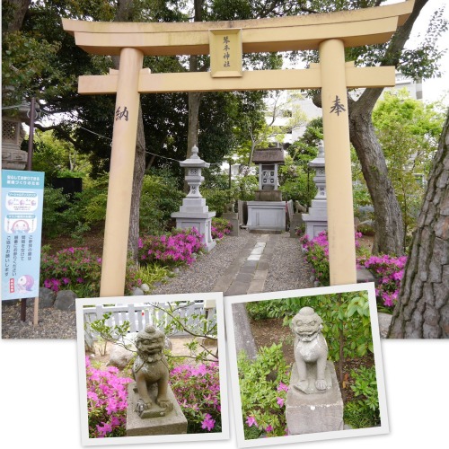 2021-04-17習志野船橋神社巡り1.jpg