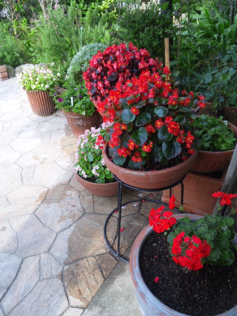 DVC00080.JPG