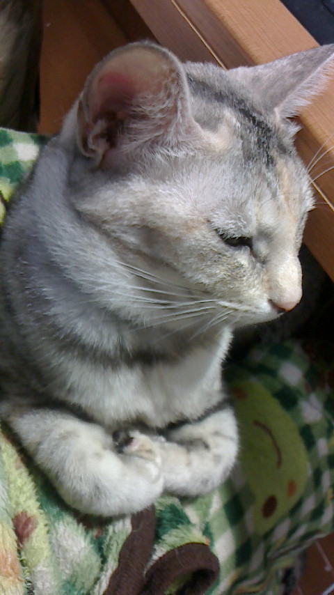 NEC_0756.JPG