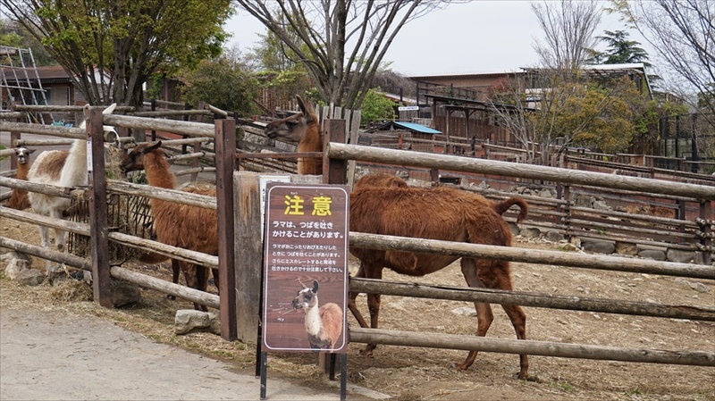 20150420 11294902.JPG