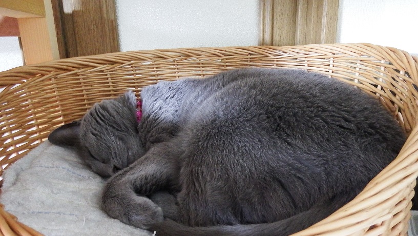DSCF9086.JPG