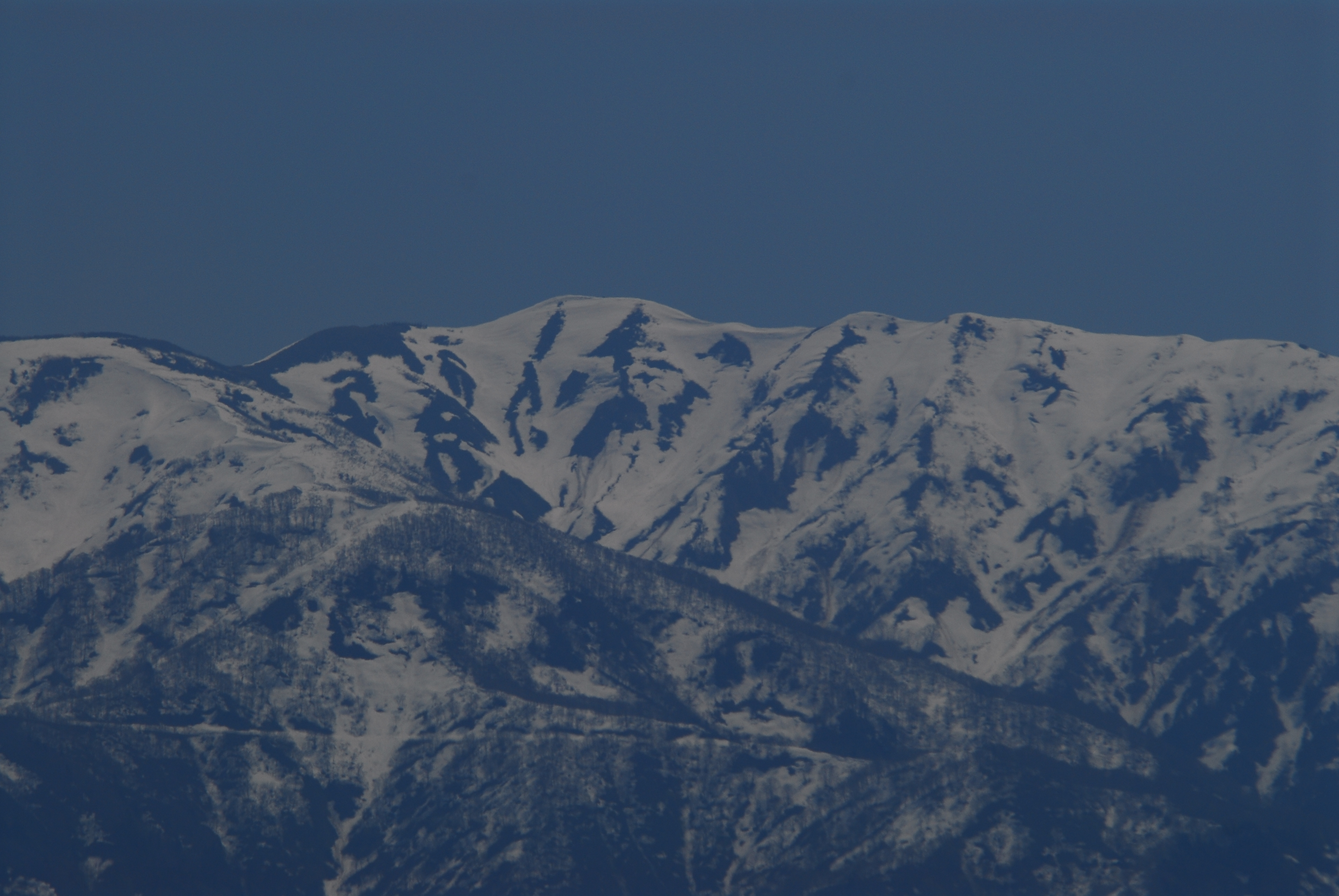 DSC_0127.JPG