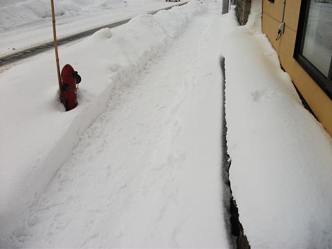 C:\fakepath\140114雪の歩道.jpg