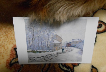 DSCN7896.JPG