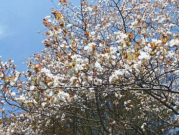 120513_8.JPG