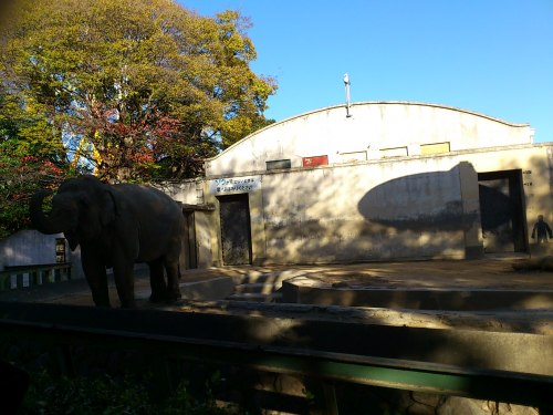 20121125王子動物園 002.jpg