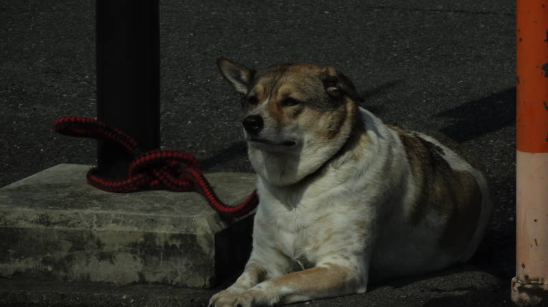 DSC02162.JPG
