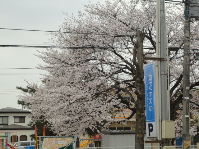 DSC00612.JPG