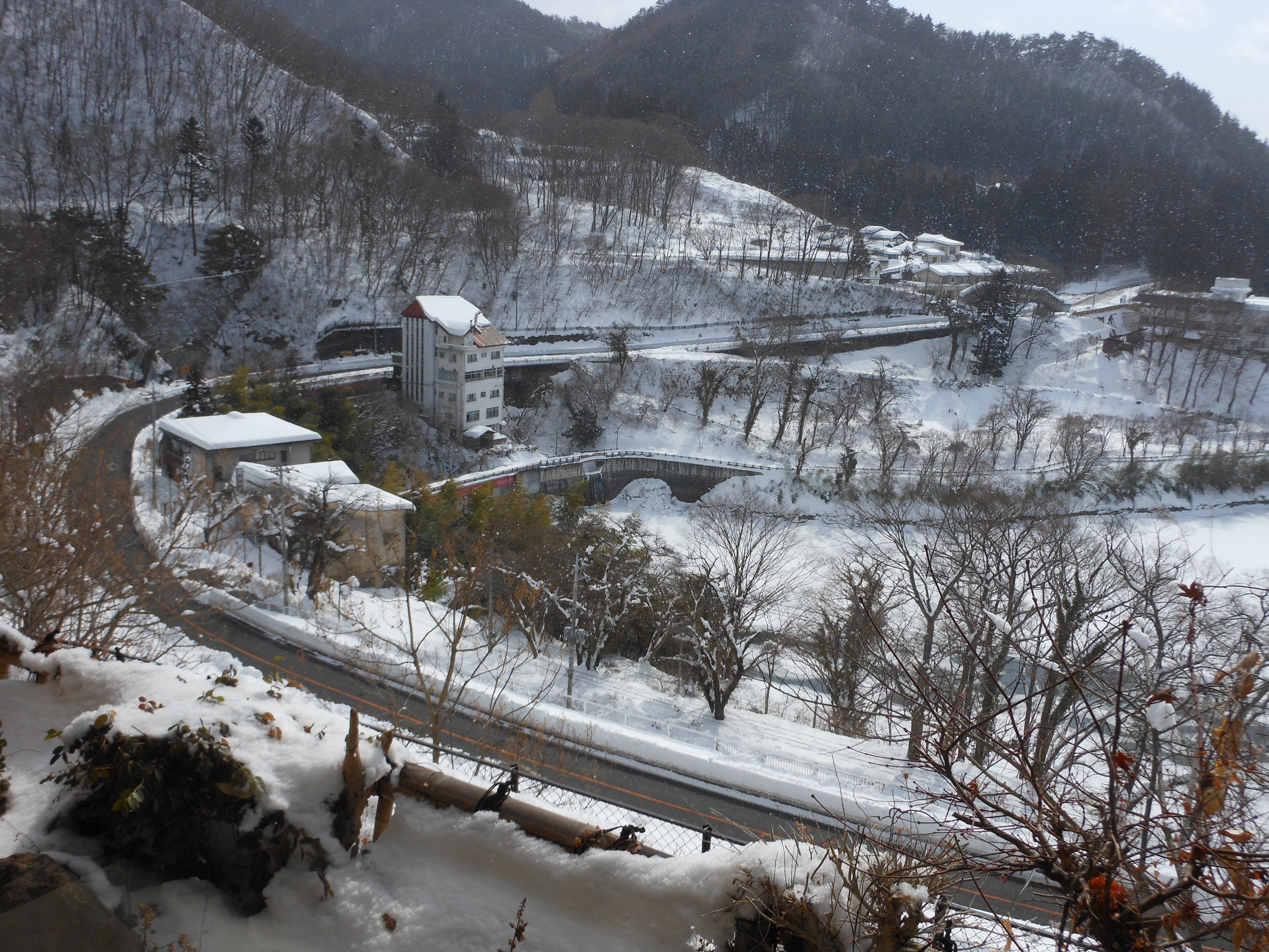 DSCN2086.JPG