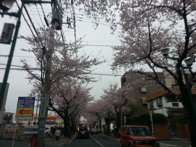 20130331_162405.jpg