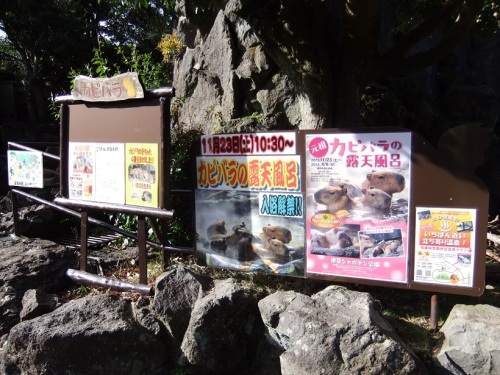 伊豆シャボテン公園２