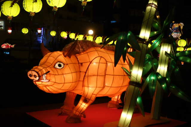 DSC01962.JPG