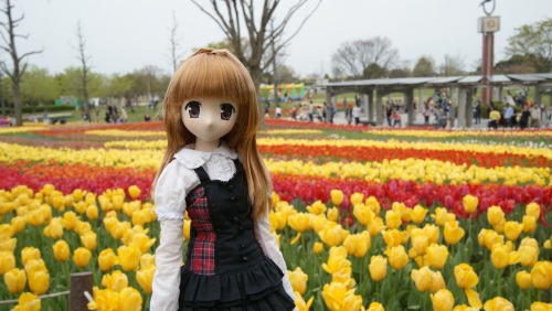 木曽三川公園チューリップ  陽菜ちゃん6.jpg