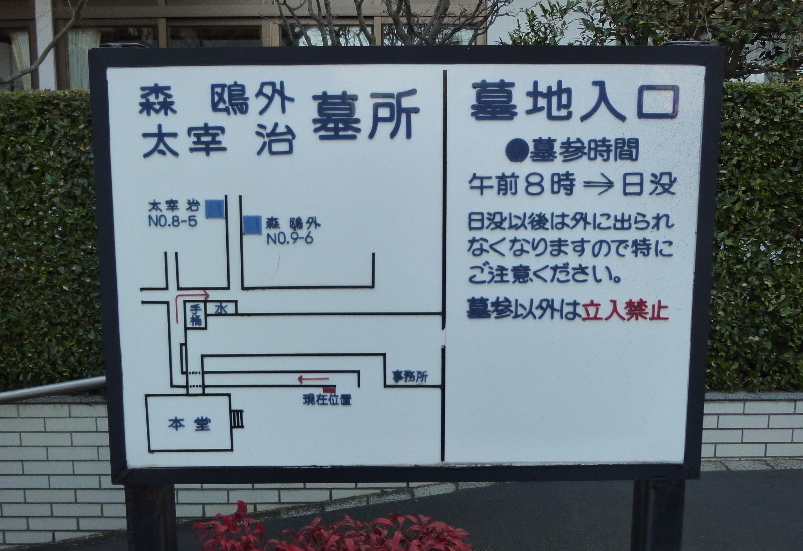 P1110529.JPG