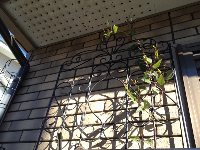 IMG_2579 (640x480).jpg