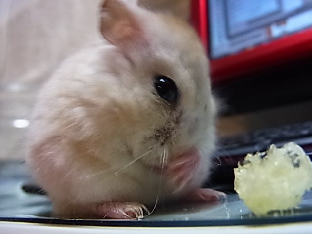 2014_06150795.JPG