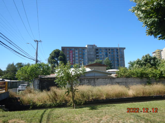 DSCN0477.JPG