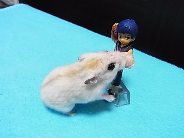 2014_07070051.JPG
