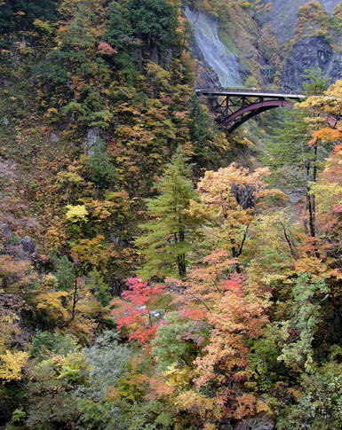 蛇谷大橋の紅葉