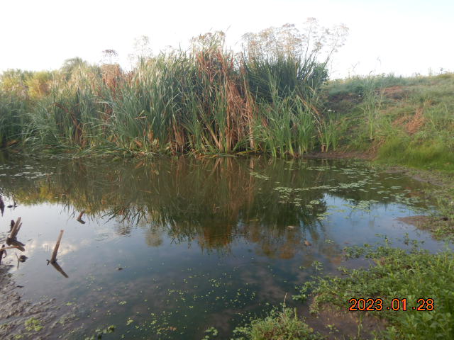 DSCN2155.JPG