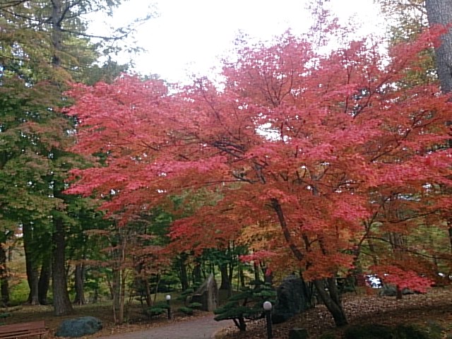 20141026  DSC_0010.jpg