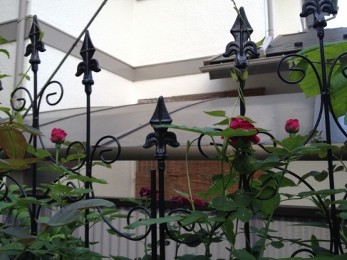 IMG_0477 (640x480).jpg