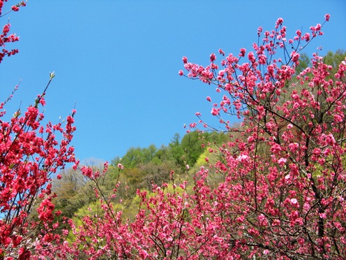 1 青空.jpg