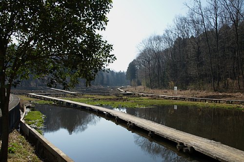 0406-3.jpg
