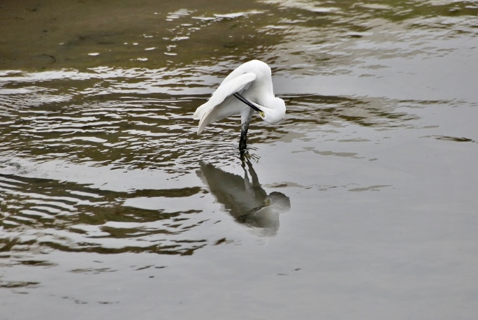 B97A2015 (1024x683).jpg