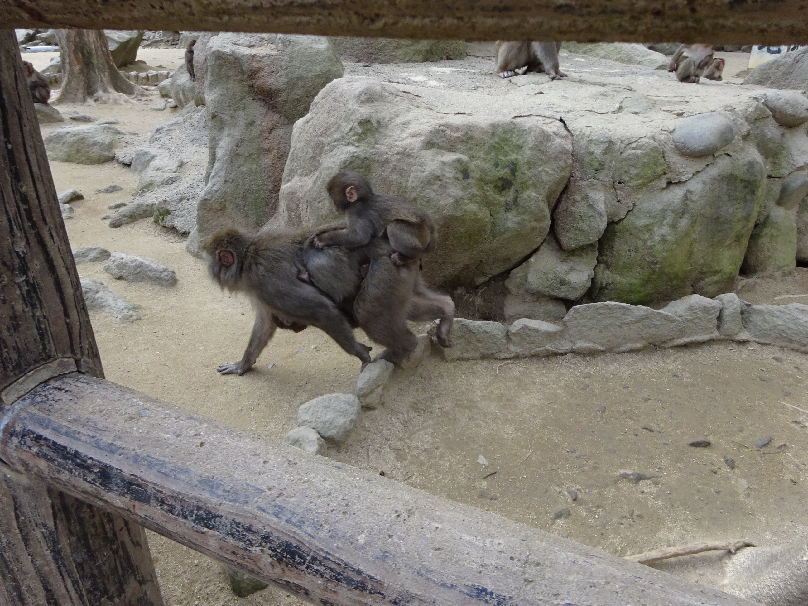 カラオケ (2).JPG