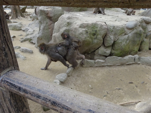 カラオケ (2).JPG