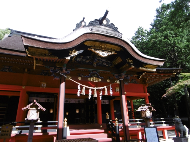 P1020111_R.JPG