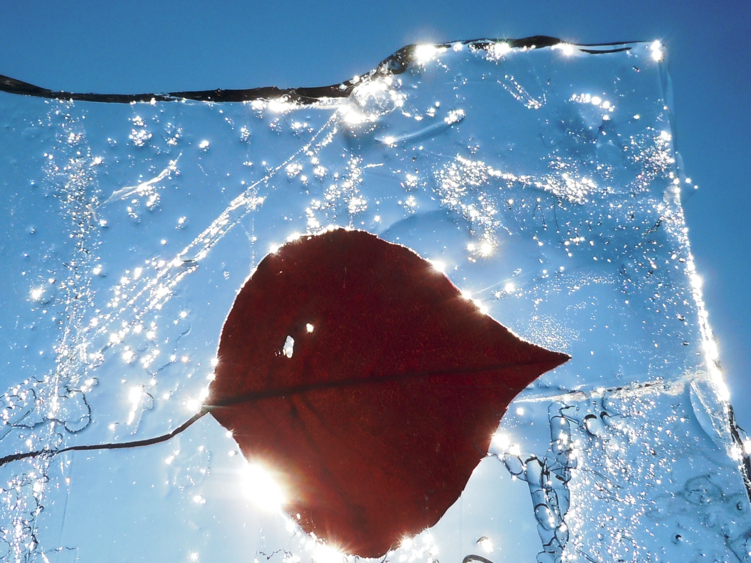 クリスタルな‥‥