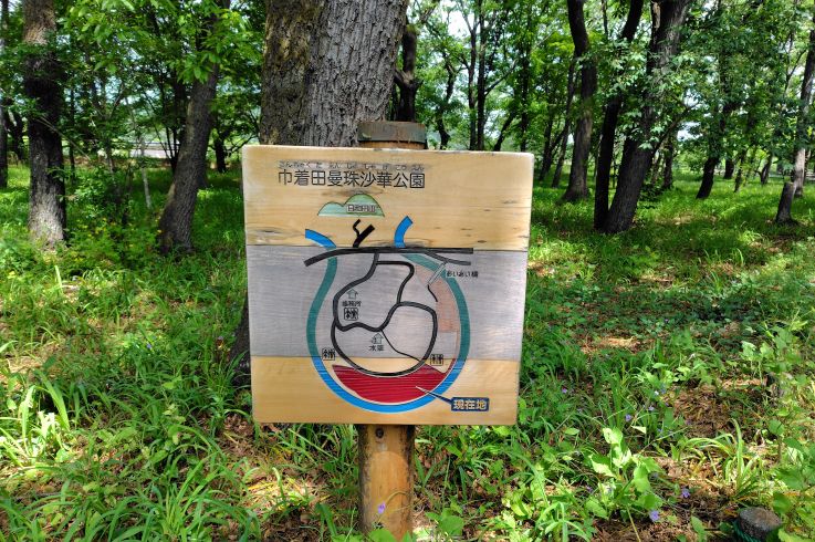 250505100610290.JPG