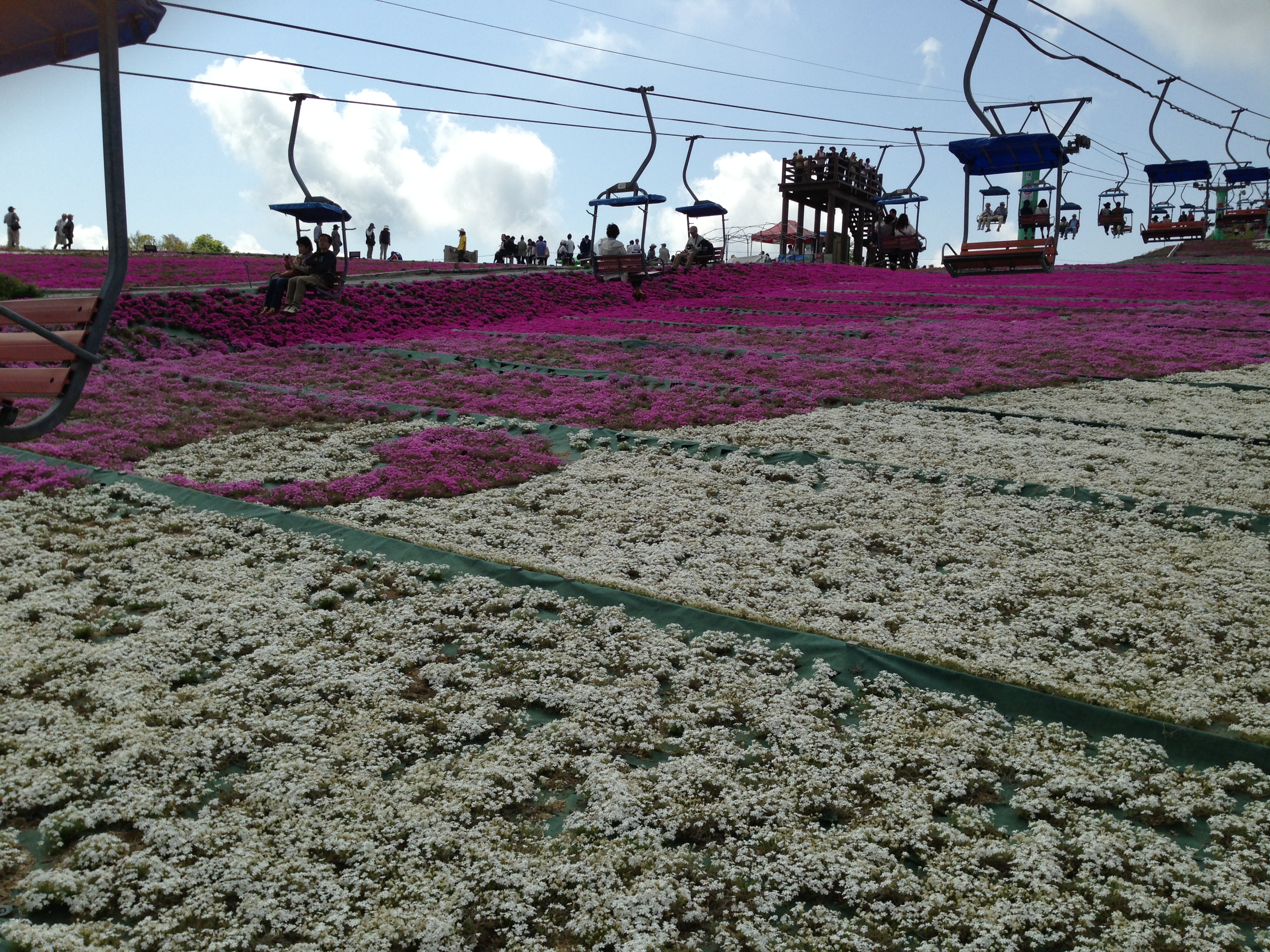 201305251755_3401_iphone.jpg