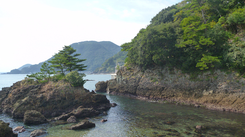 20141020 10534401.jpg