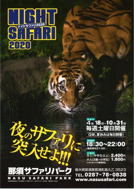 200405nightsafari.jpg