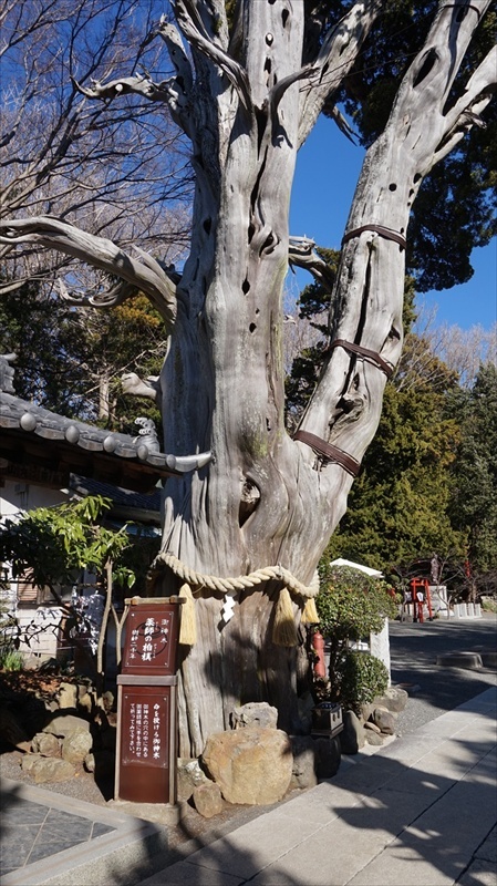 20150108 11394201.JPG