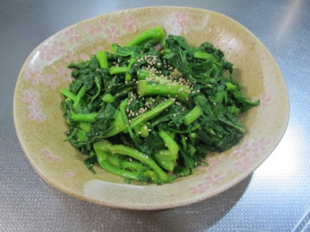 2013-03-20 カラシ菜.JPG