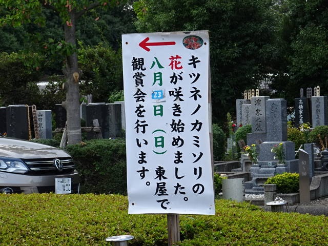 150816-25.JPG