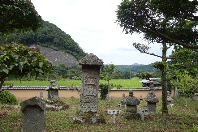 DSC03226.JPG