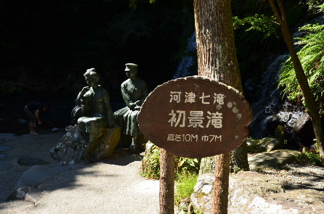 DSC_4601.JPG