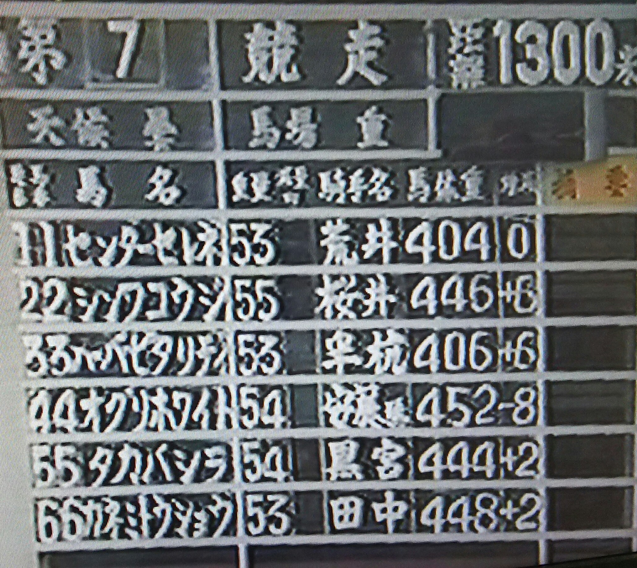 オグリホワイトｃ.jpg